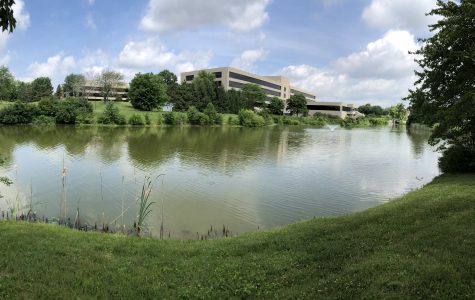 Pond & Building panoramic 1