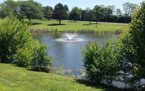Pond and fountain 1- 124111